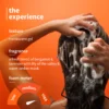 08_The-Experience_VSA-Shampoo-Amazon_1001x1001_b8e82a08-8596-456c-8799-db9310a93316